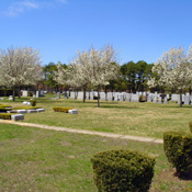 Cemetery Photo 3