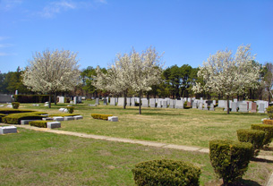 Cemetery Photo 3