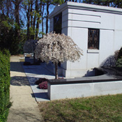 Cemetery Photo 2